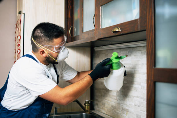Best Pest Control Near Me  in Horicon, WI