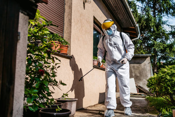 Best Rat Extermination Near Me  in Horicon, WI
