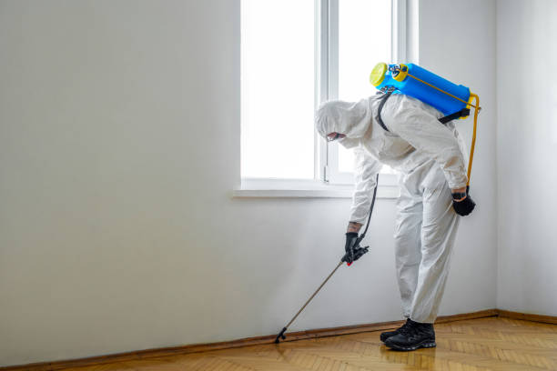 Pest Control for Restaurants in Horicon, WI
