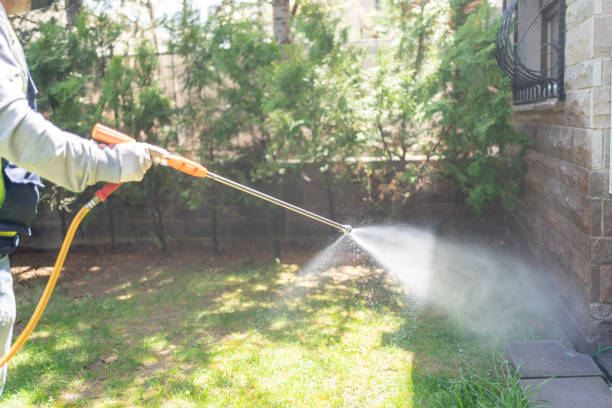 Best Flea Control Services  in Horicon, WI