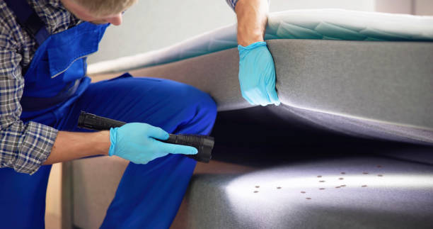 Best Wasp Removal Services  in Horicon, WI