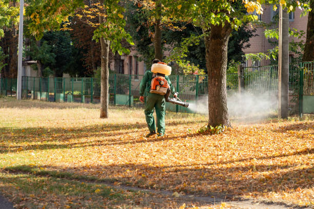 Best Cockroach Control Services  in Horicon, WI