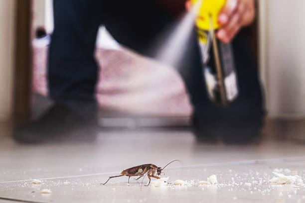 Best Mosquito Control Services  in Horicon, WI