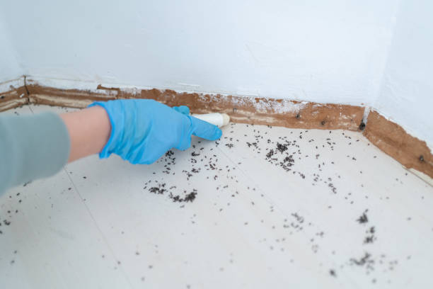 Best Pest Prevention Services  in Horicon, WI