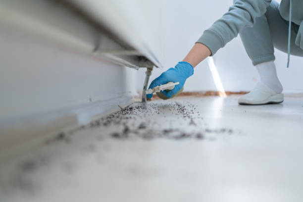 Best Residential Pest Control  in Horicon, WI