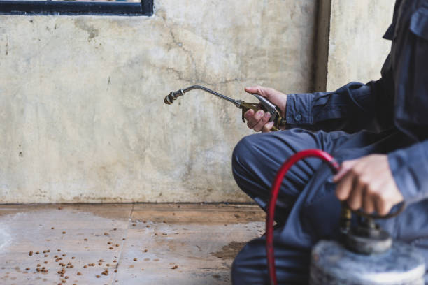 Best Affordable Pest Control Services  in Horicon, WI